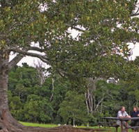 Ravensbourne National Park - Accommodation in Bendigo