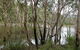 Mount Rooper Circuit And Swamp Bay Track - thumb 0