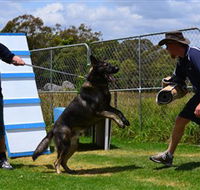 Lawdogs Australia - Accommodation in Bendigo