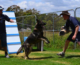 Lawdogs Australia - Accommodation in Bendigo 0