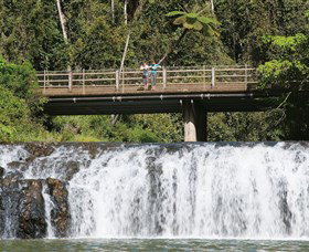 Malanda Falls Conservation Park - Accommodation in Bendigo 0