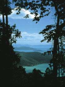 Whitsunday Great Walk - Accommodation in Bendigo 0
