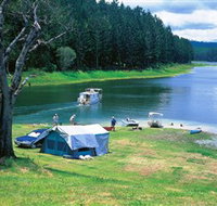 Danbulla National Park and Danbulla State Forest - Accommodation in Bendigo