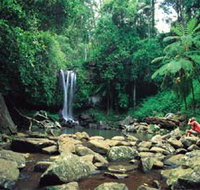 Tamborine National Park - Accommodation in Bendigo