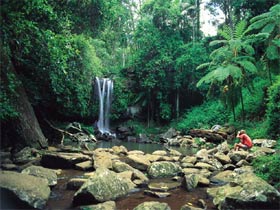Tamborine National Park - Accommodation in Bendigo 0