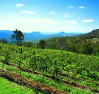 Preston Peak Wines - Accommodation in Bendigo