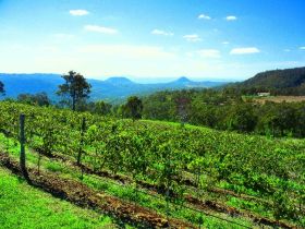 Preston Peak Wines - Accommodation in Bendigo 0