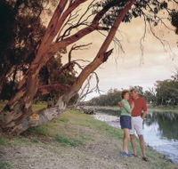 The Looking Glass - Accommodation in Bendigo