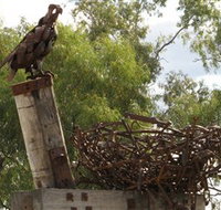Blackall Sculpture Trail - Accommodation in Bendigo