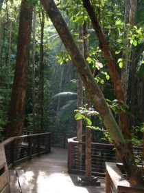 Basin Lake Track - Accommodation in Bendigo 0