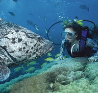 Pelorus Island - Accommodation in Bendigo