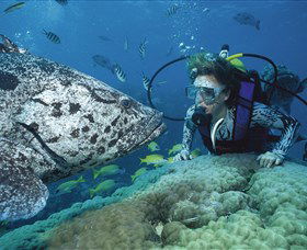 Pelorus Island - Accommodation in Bendigo 0