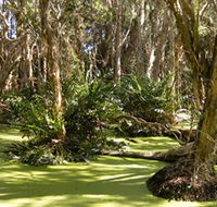 Arkarra Lagoons and Tea Gardens - Accommodation in Bendigo
