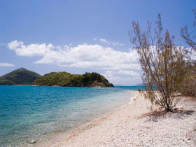 Paddle Bay Track And Campsite - Accommodation in Bendigo 0