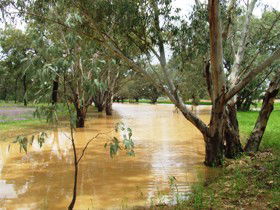 Saddliers Waterhole And Hamburg Creek - Accommodation in Bendigo 0