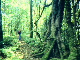 Obum Obum QLD Accommodation in Bendigo