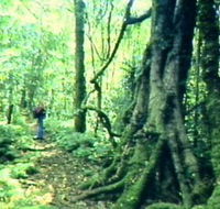 Mt Superbus - Accommodation in Bendigo