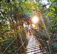 Tree Top Walkway - Accommodation in Bendigo