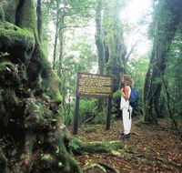 Tooloona Creek circuit - Accommodation in Bendigo