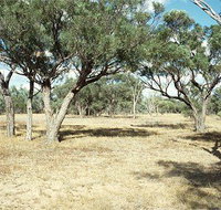 Forest Den National Park - Accommodation in Bendigo