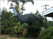 The Big Cassowary - Accommodation in Bendigo 0