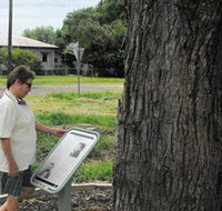 Augathella Kenniff Tree - Accommodation in Bendigo