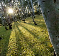 Tondoon Botanic Gardens - Accommodation in Bendigo