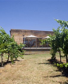 Shantell Vineyard - Accommodation in Bendigo 0