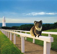 Cape Otway Lightstation - Accommodation in Bendigo