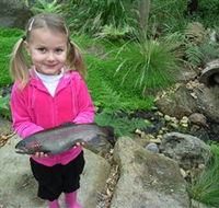Wild Food Farm  Cafe - Accommodation in Bendigo