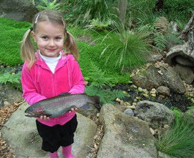 Wild Food Farm & Cafe - Accommodation in Bendigo 0