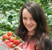 Yarra Valley Gateway Estate - Accommodation in Bendigo