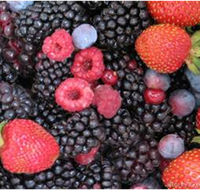 Gentle Annie Berry Gardens - Accommodation in Bendigo