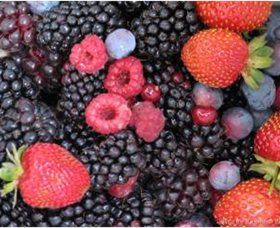 Gentle Annie Berry Gardens - Accommodation in Bendigo 0