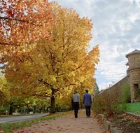 Indigo Gold Trail - Accommodation in Bendigo