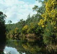 Warrandyte State Park - Accommodation in Bendigo