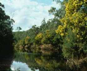 Warrandyte State Park - Accommodation in Bendigo 0