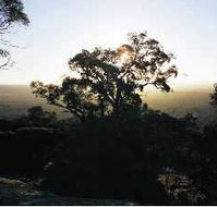 Yarra Flats - Accommodation in Bendigo