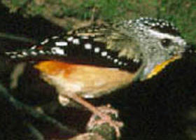 Reef Hills State Park - Accommodation in Bendigo 0