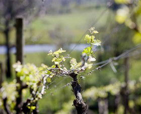 Norton Estate Wines - Accommodation in Bendigo 0