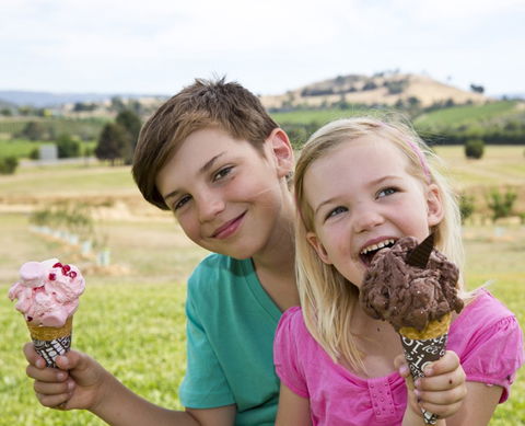 Yarra Valley Chocolaterie & Ice Creamery - Accommodation in Bendigo 6