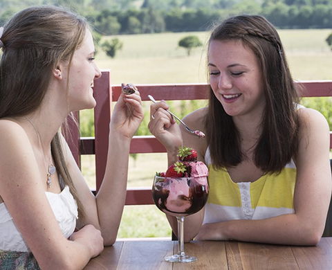 Yarra Valley Chocolaterie & Ice Creamery - Accommodation in Bendigo 8