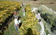 Blakes Estate Winery - thumb 0