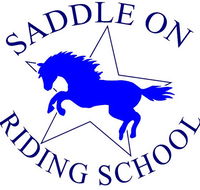 Saddle On Riding School - Accommodation in Bendigo