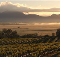Montara Wines - Accommodation in Bendigo