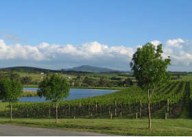 Yarrawood Estate - Accommodation in Bendigo 0
