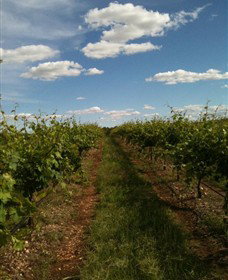 Chambers Rosewood Winery - Accommodation in Bendigo 0