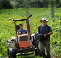 Kellybrook Winery  Kelly Brothers Cider - Accommodation in Bendigo