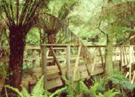 Mount Worth State Park - Accommodation in Bendigo 0