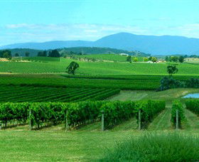  Accommodation in Bendigo